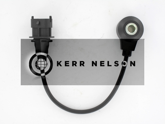 Kerr Nelson EKS009