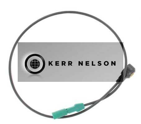 Kerr Nelson EKS119