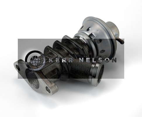 Kerr Nelson ERV039