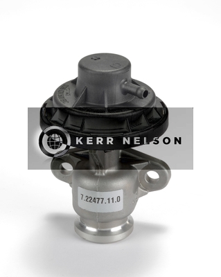 Kerr Nelson ERV053