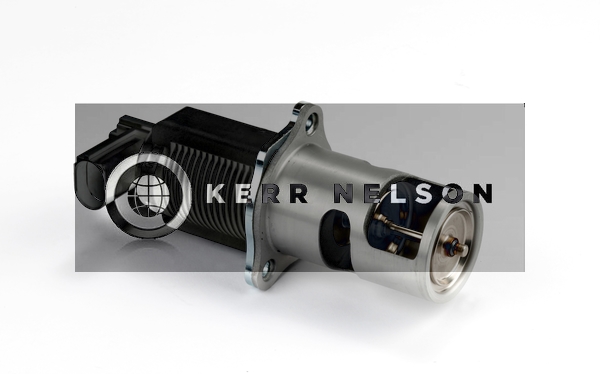 Kerr Nelson ERV083