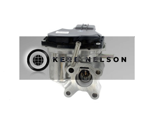 Kerr Nelson ERV236