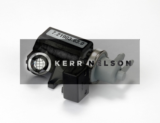 Kerr Nelson ESV012