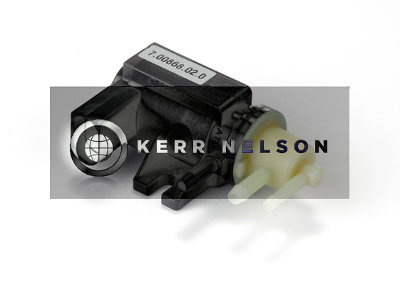 Kerr Nelson ESV017
