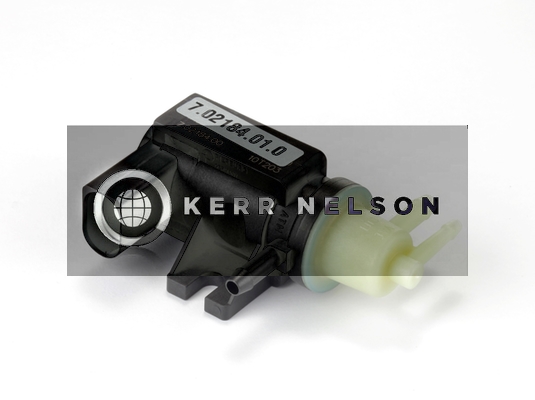 Kerr Nelson ESV020