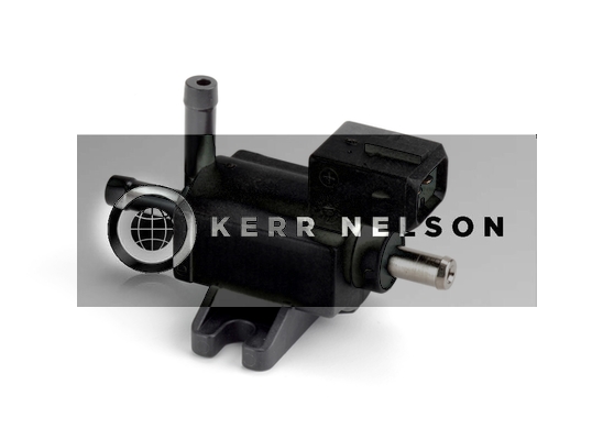 Kerr Nelson ESV029