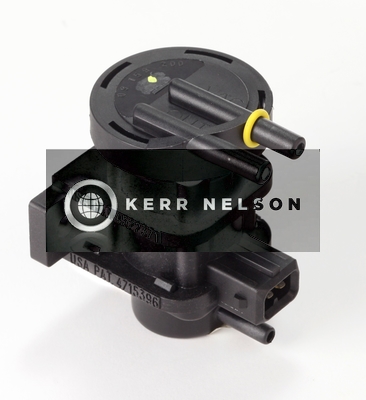 Kerr Nelson ESV043