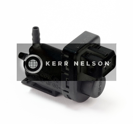 Kerr Nelson ESV049