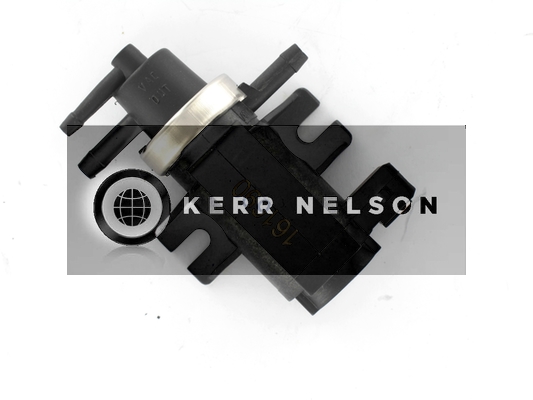 Kerr Nelson ESV058