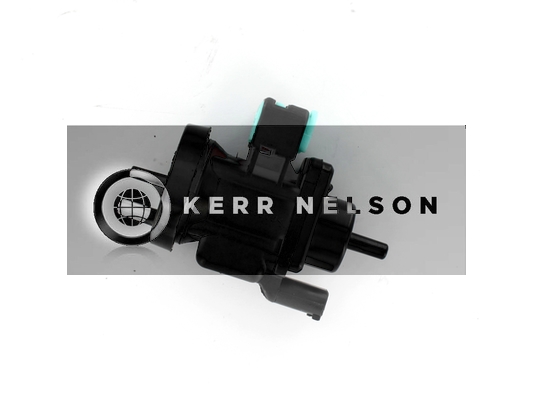 Kerr Nelson ESV059