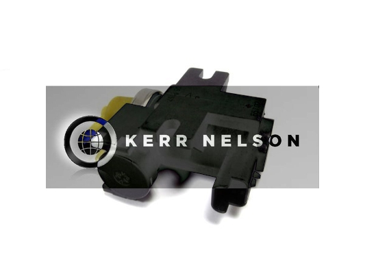 Kerr Nelson ESV073