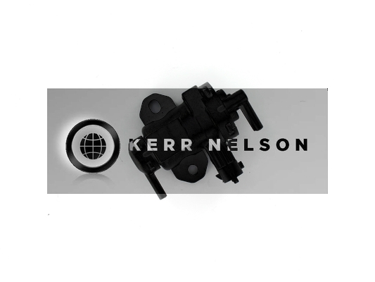 Kerr Nelson ESV079