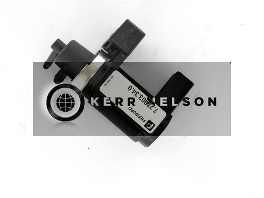 Kerr Nelson ESV081