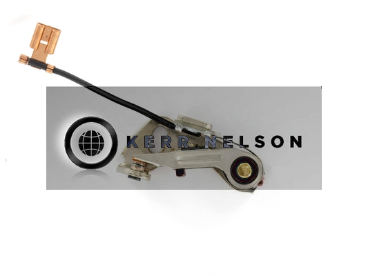 Kerr Nelson ICS001