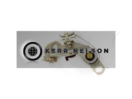 Kerr Nelson ICS005