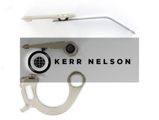 Kerr Nelson ICS009