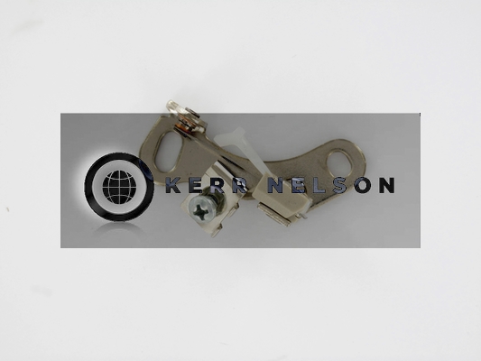 Kerr Nelson ICS016