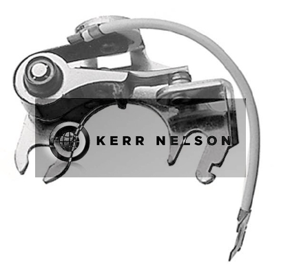 Kerr Nelson ICS019