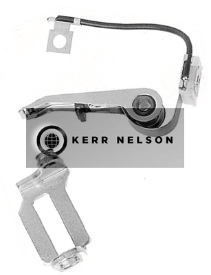 Kerr Nelson ICS022