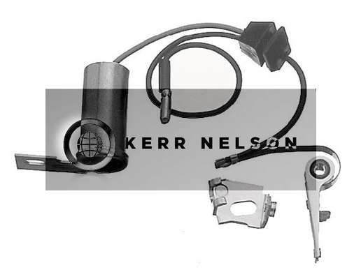 Kerr Nelson ICS043