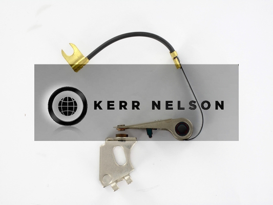 Kerr Nelson ICS058