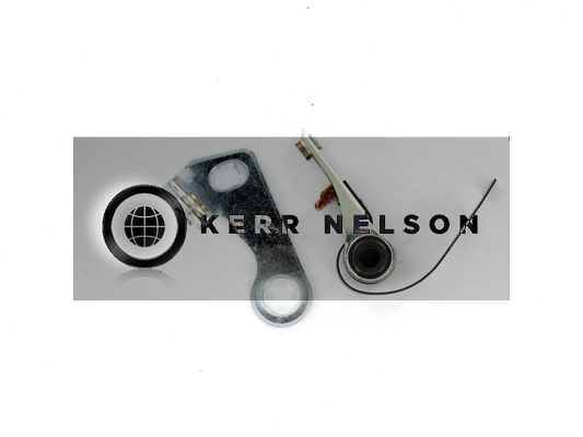 Kerr Nelson ICS061