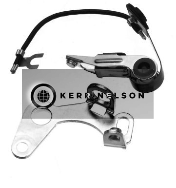 Kerr Nelson ICS073