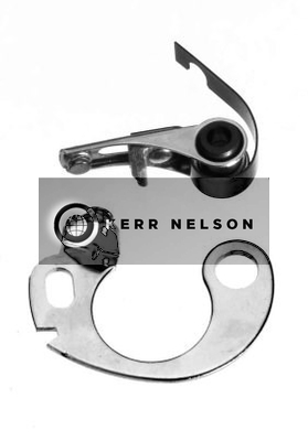 Kerr Nelson ICS081