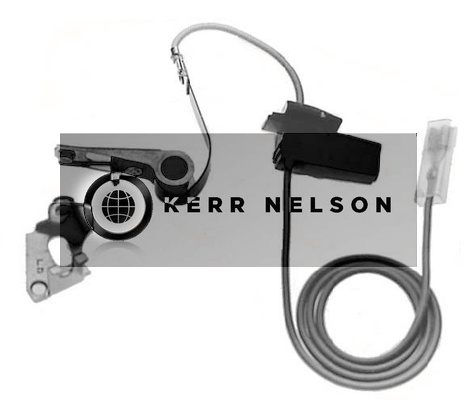 Kerr Nelson ICS088