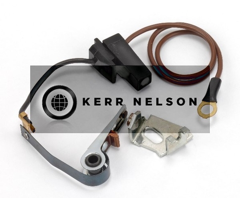 Kerr Nelson ICS093