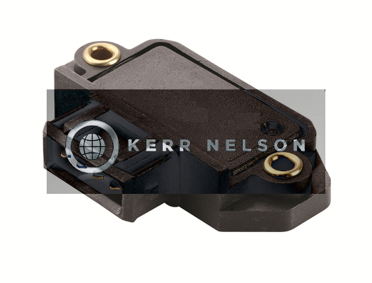 Kerr Nelson IIM002