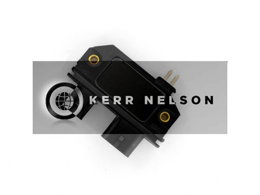 Kerr Nelson IIM007