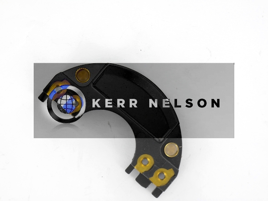 Kerr Nelson IIM017