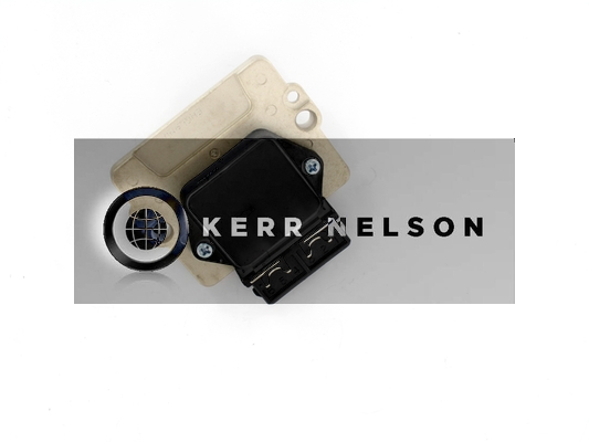 Kerr Nelson IIM019