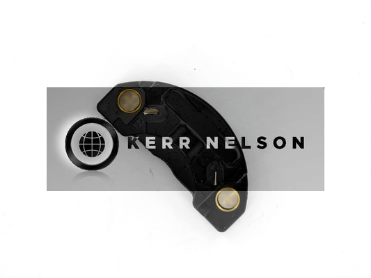 Kerr Nelson IIM027