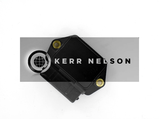 Kerr Nelson IIM031