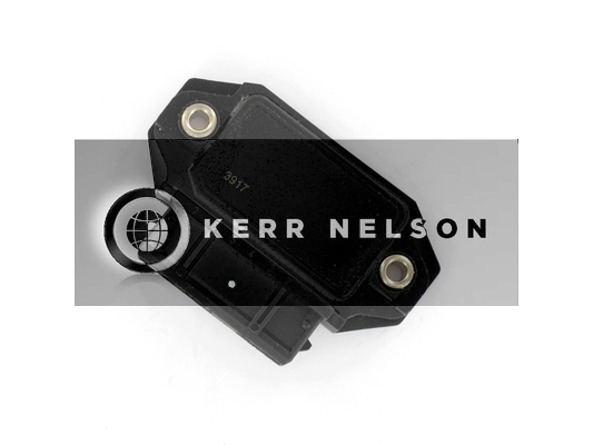 Kerr Nelson IIM036