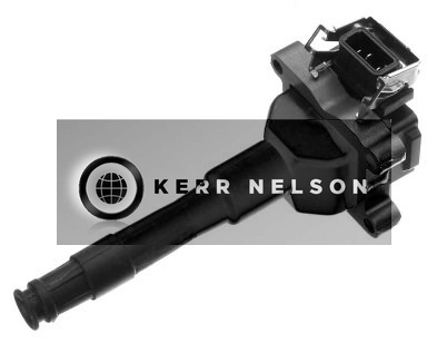 Kerr Nelson IIS005