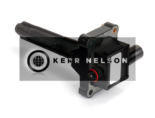 Kerr Nelson IIS006