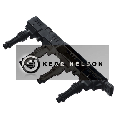 Kerr Nelson IIS009