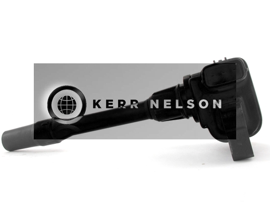 Kerr Nelson IIS011