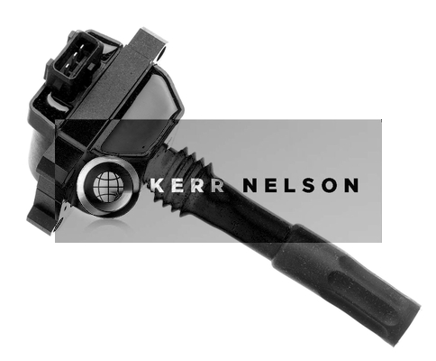 Kerr Nelson IIS014