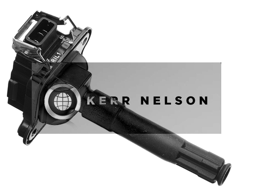 Kerr Nelson IIS015