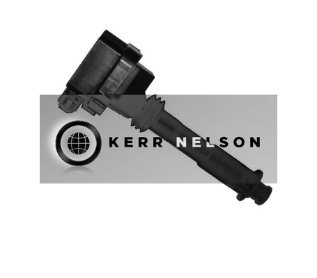 Kerr Nelson IIS016