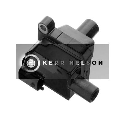 Kerr Nelson IIS017