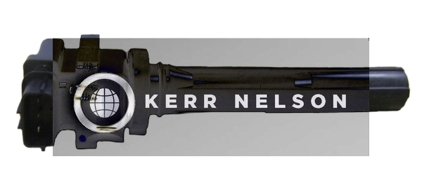 Kerr Nelson IIS022