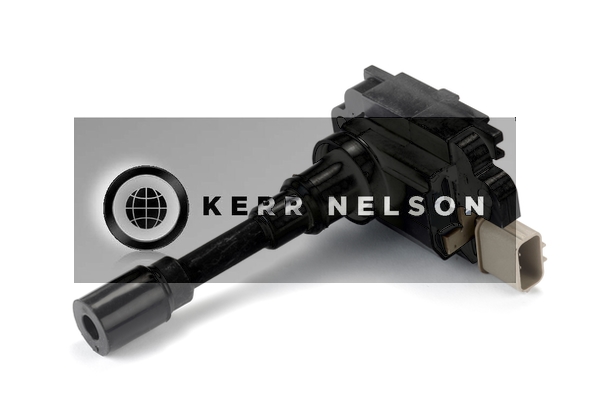 Kerr Nelson IIS023