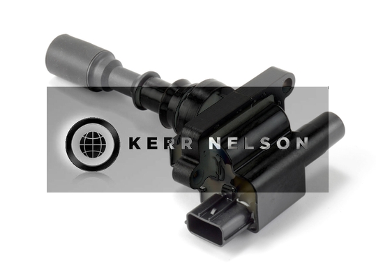 Kerr Nelson IIS024