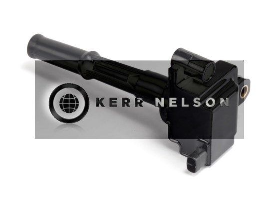 Kerr Nelson IIS025