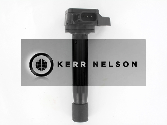 Kerr Nelson IIS026